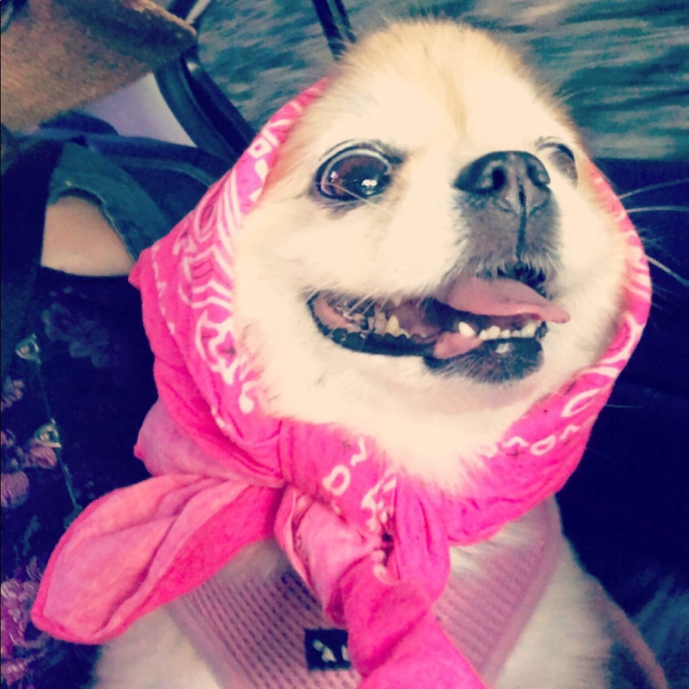 Coco 💕 reasonable offers